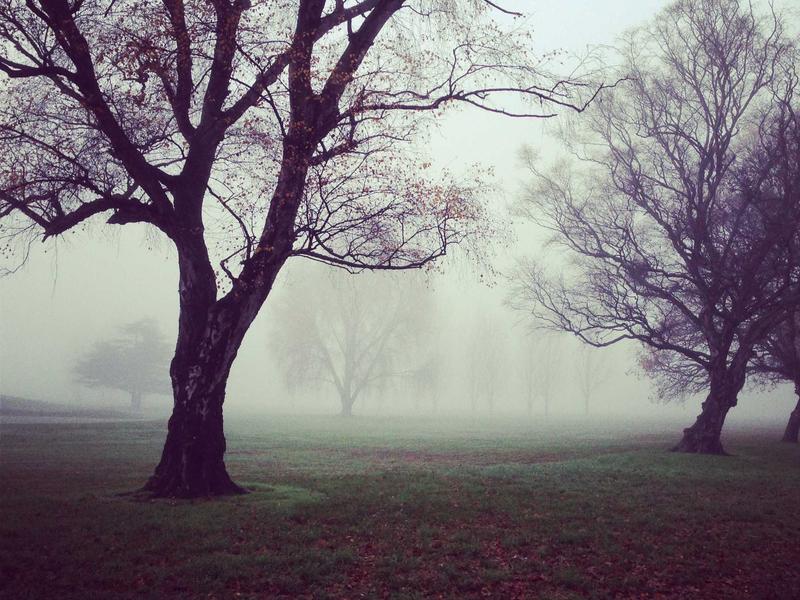 欢迎中枢<br>入群欢迎与自动审核